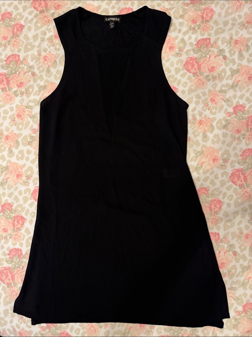 Express Black Sleeveless V-Neck Tank Top